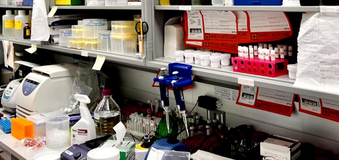 Mondal Lab in action