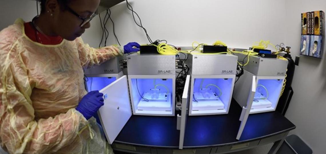 Lab staff looks at specimens. 