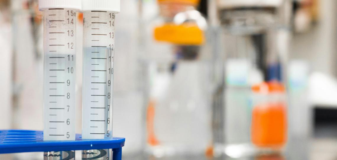 Photo of a lab counter showing test tubes and jars with liquid. 