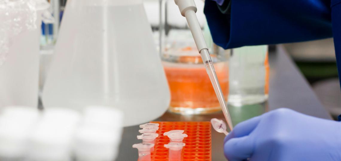 A photo of gloved hands working in a lab.