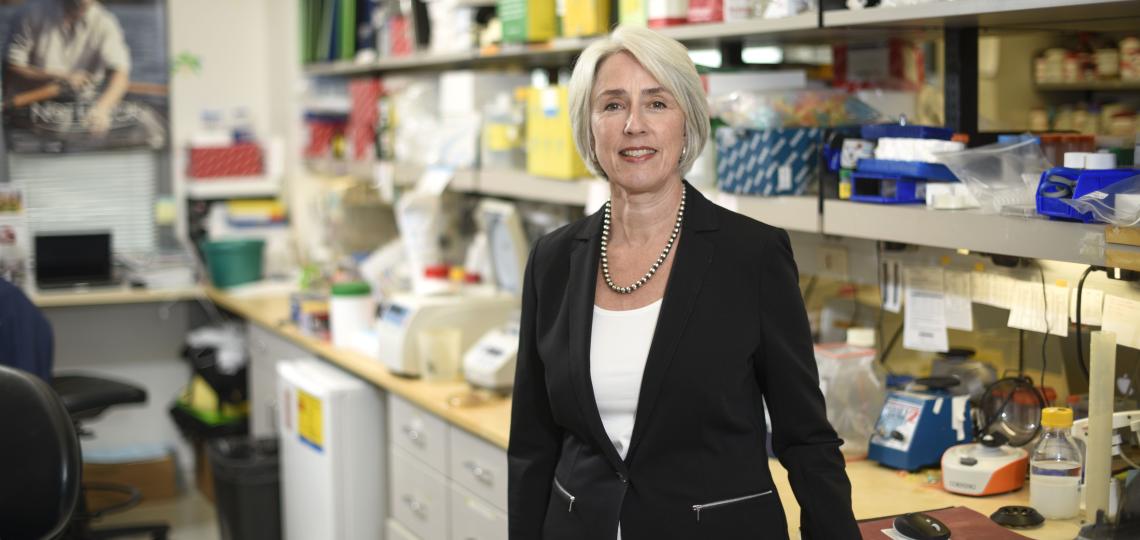 Dr. Margaret Goodell named to the National Academy of Sciences