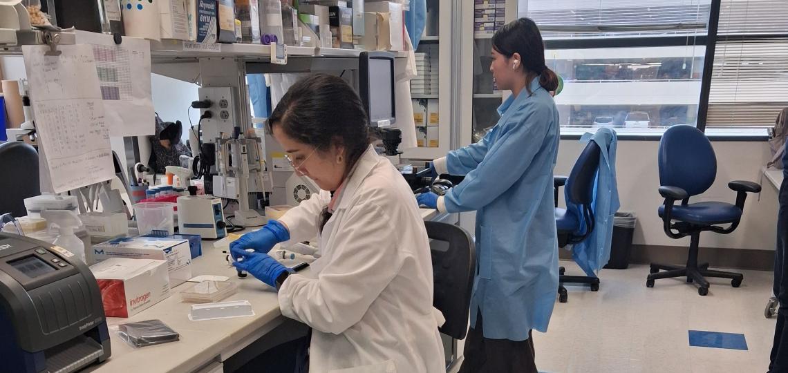 people working in a lab