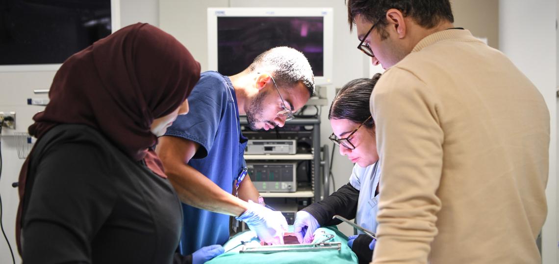 Essential Surgery Skills Course