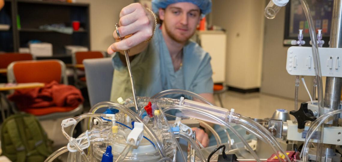 A student adjusting a perfusion machine with a set of clamps. The perfusion machine appears as a series of tubes and valves.