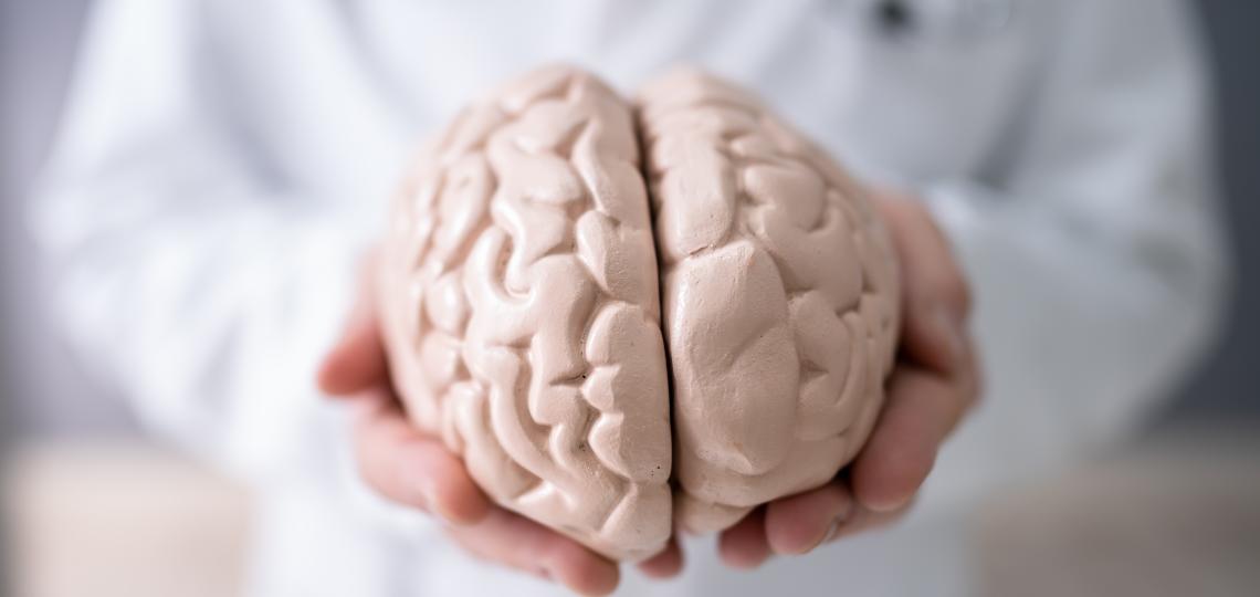 Generic Brain
