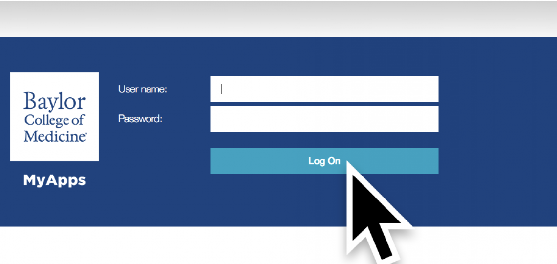 Enter your ECA credentials, then click Log On.