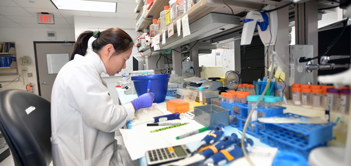 The Eissa Lab is involved with research in the Section of Pulmonary, Critical Care, and Sleep Medicine.