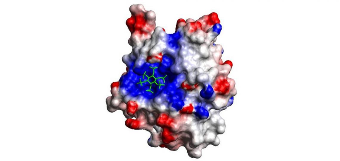Fig 2