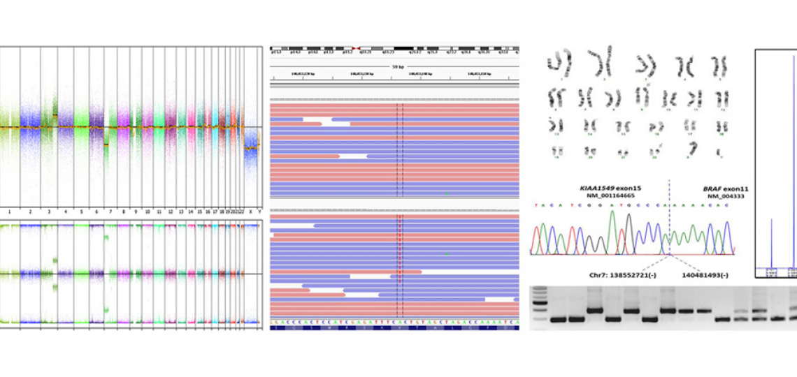 Molecular Genetics Fellowship chart