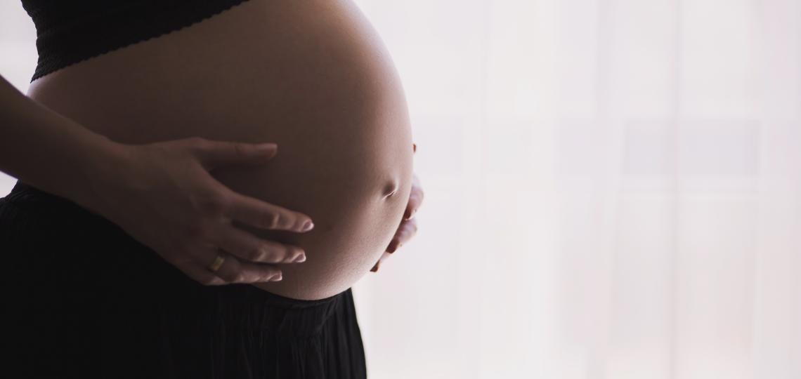 Maternal high-fat diet during pregnancy can affect baby’s gut microbes