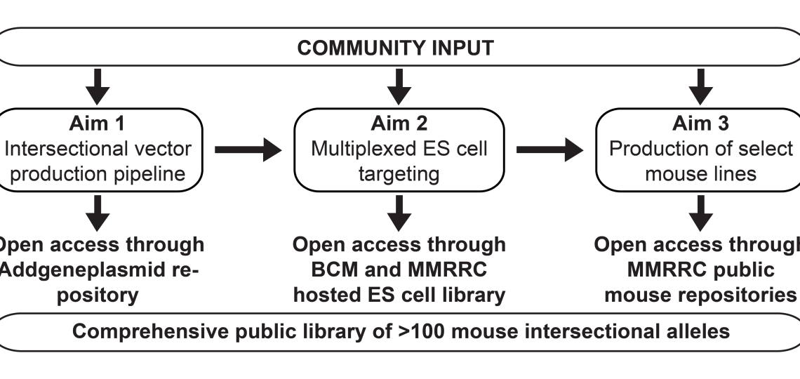 Intersectional Pipeline