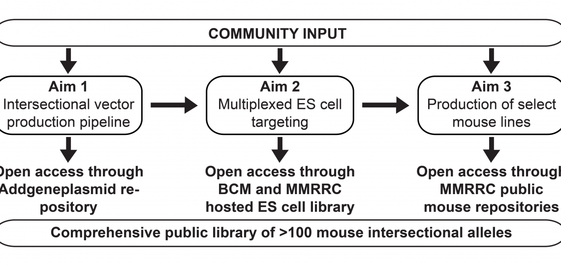Intersectional Pipeline