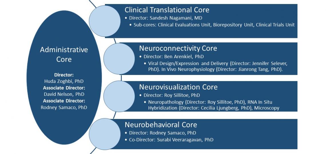 IDDRC Current Core Structure