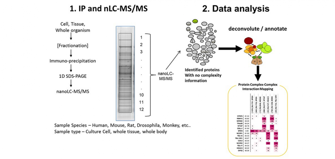 CPRIT Proteomics core