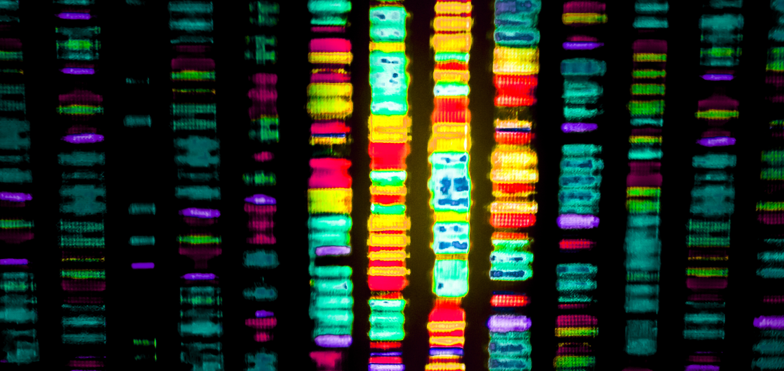 Analytical tool predicts genes that can cause disease by producing altered proteins