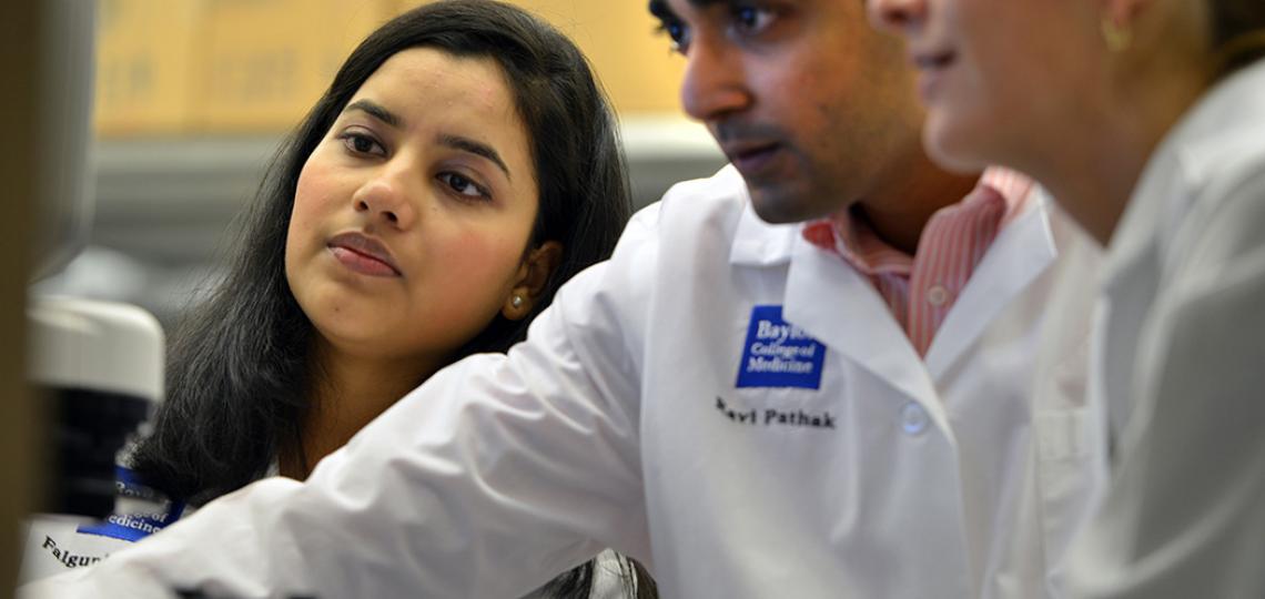 Faculty Appointments