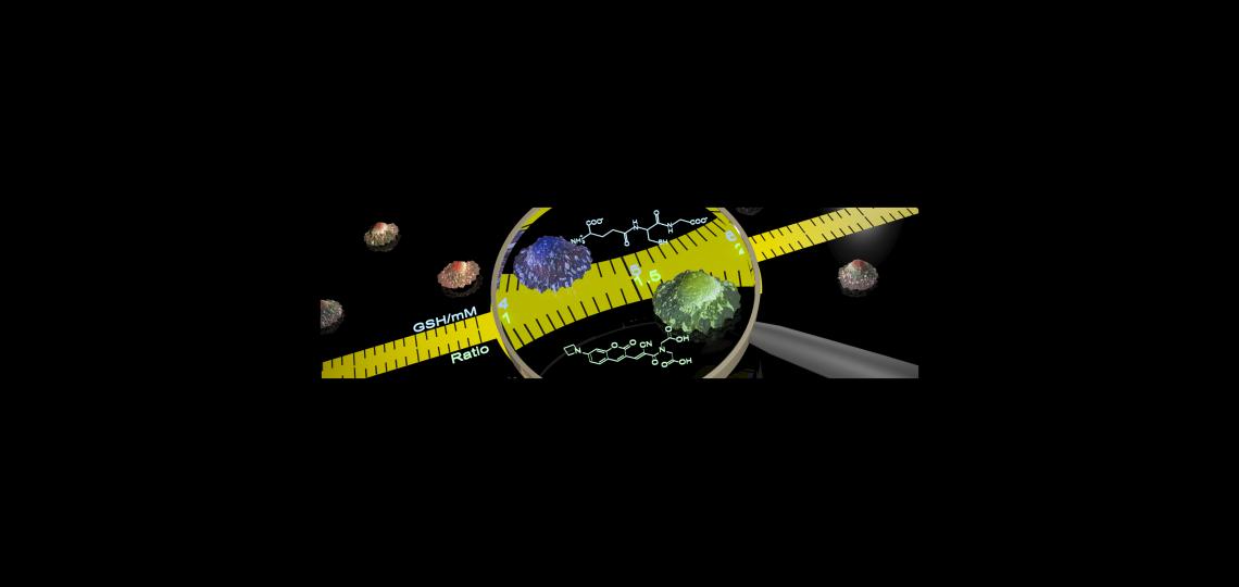Quantitative Real-Time Imaging of Glutathione in Living Cells