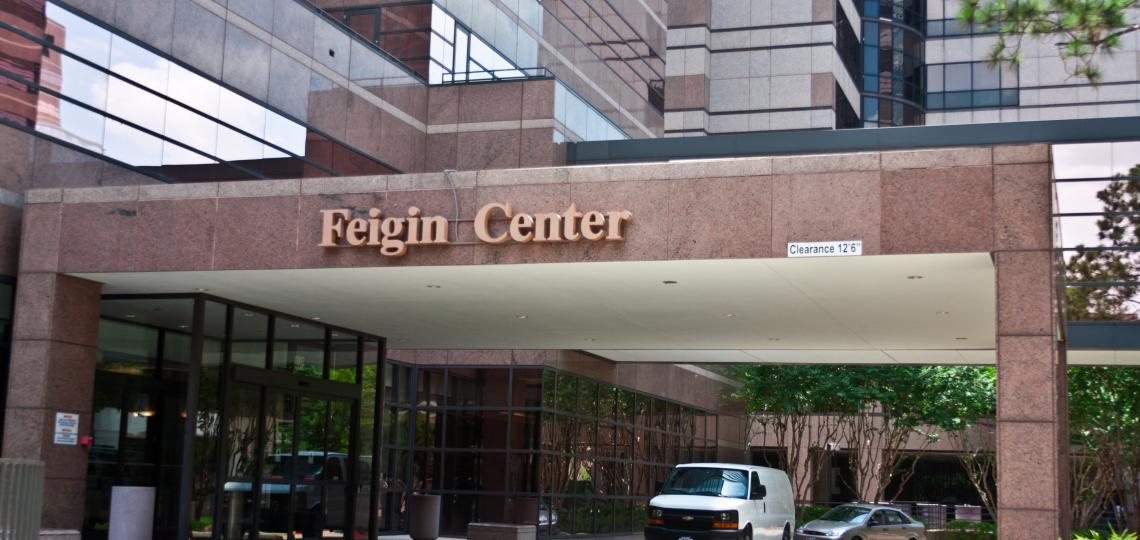 feigin