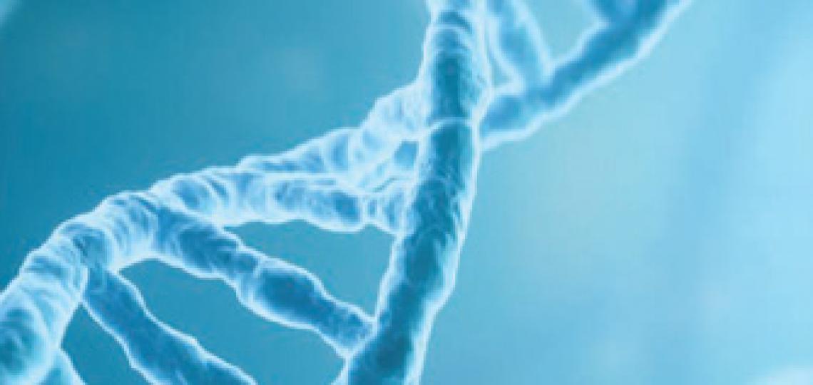 Gene Vector Core