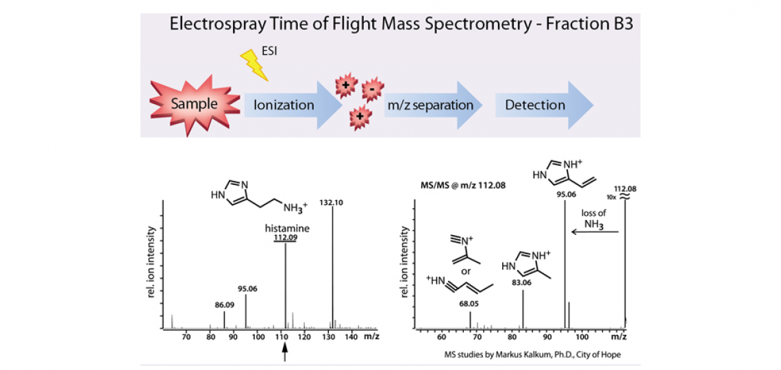 Histamine produced by L. reuteri is not modified
