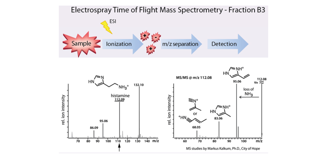 Histamine produced by L. reuteri is not modified