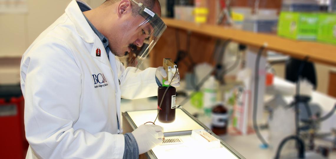 Lab Supervisor Noriel Acorda stains a microtiter tray.