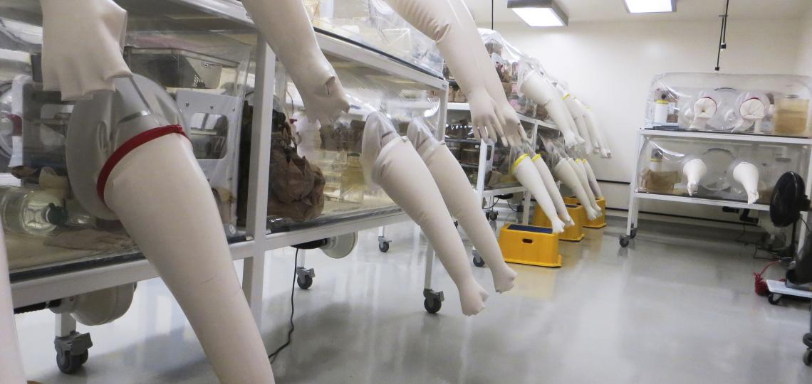 Isolator in the Gnotobiotic Rodent Facility