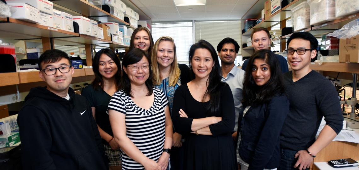 jeannie-chin-lab-members 2017