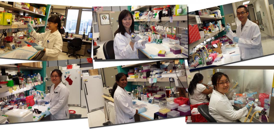 Wang lab members v2