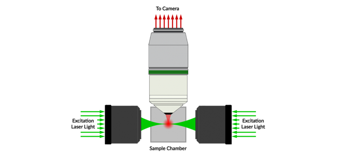 LightSheet Microscopy