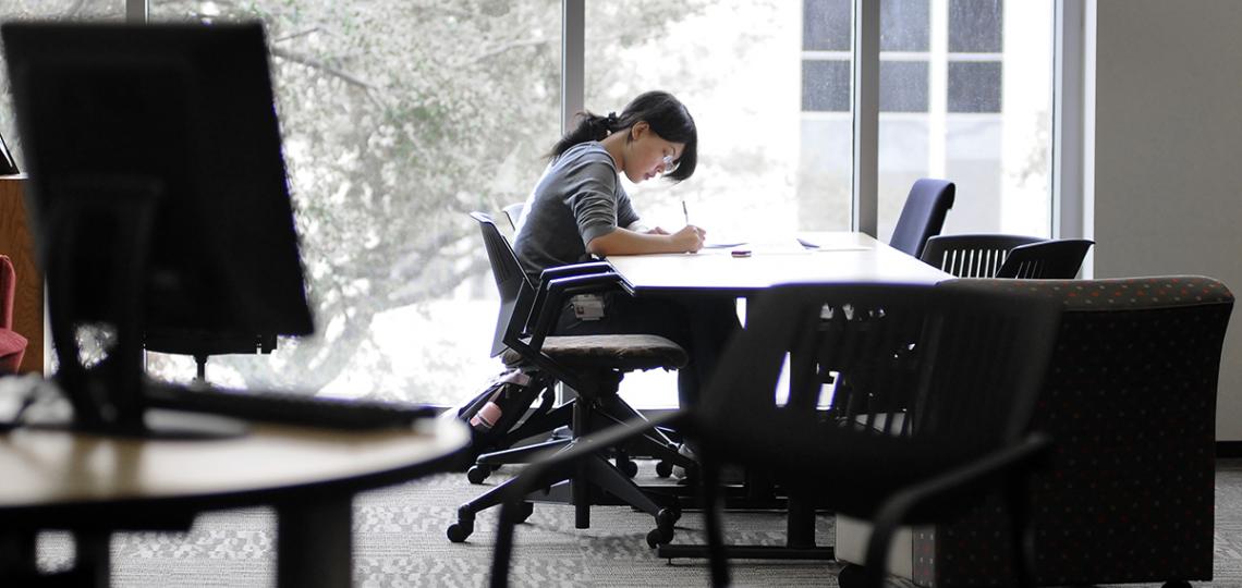 Student Studying