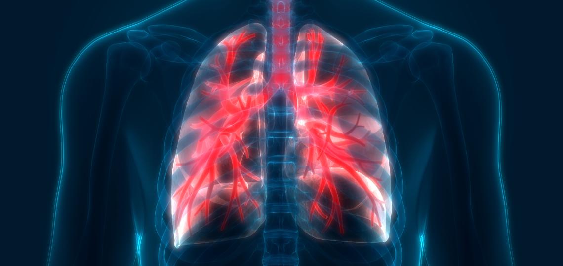 An illustration of the lungs.