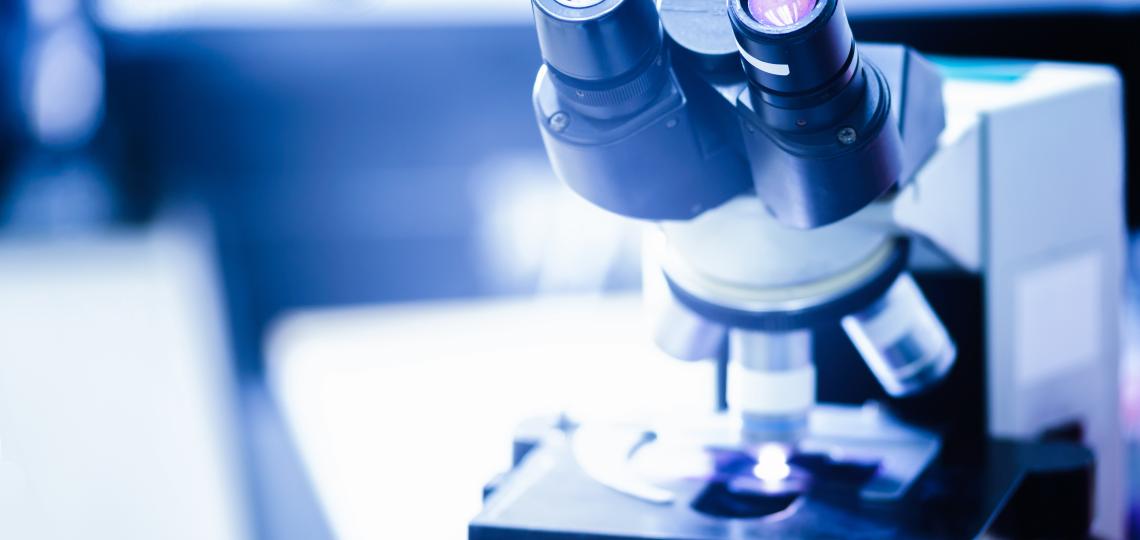 Two independent mechanisms are involved in tuberous sclerosis