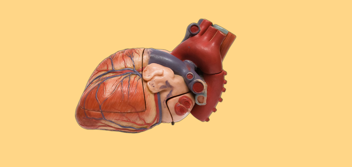 Dr. Mohi Khera says numerous studies find that cardiovascular disease and erectile dysfunction are linked.