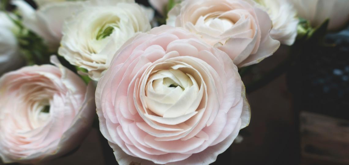Dr. Sana Hasan says when you are selecting flowers, pay attention to the flower’s gender because that influences how the plant will affect people’s allergies.