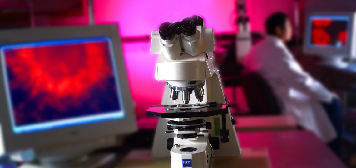 Learn more about research at Baylor College of Medicine.