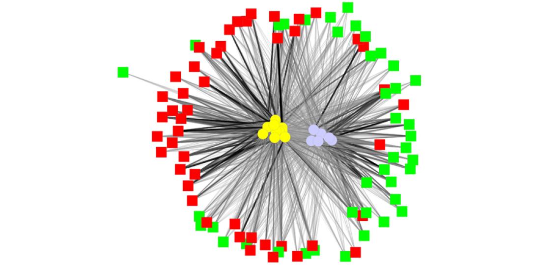 Pediatric IBS subject-metabolite network