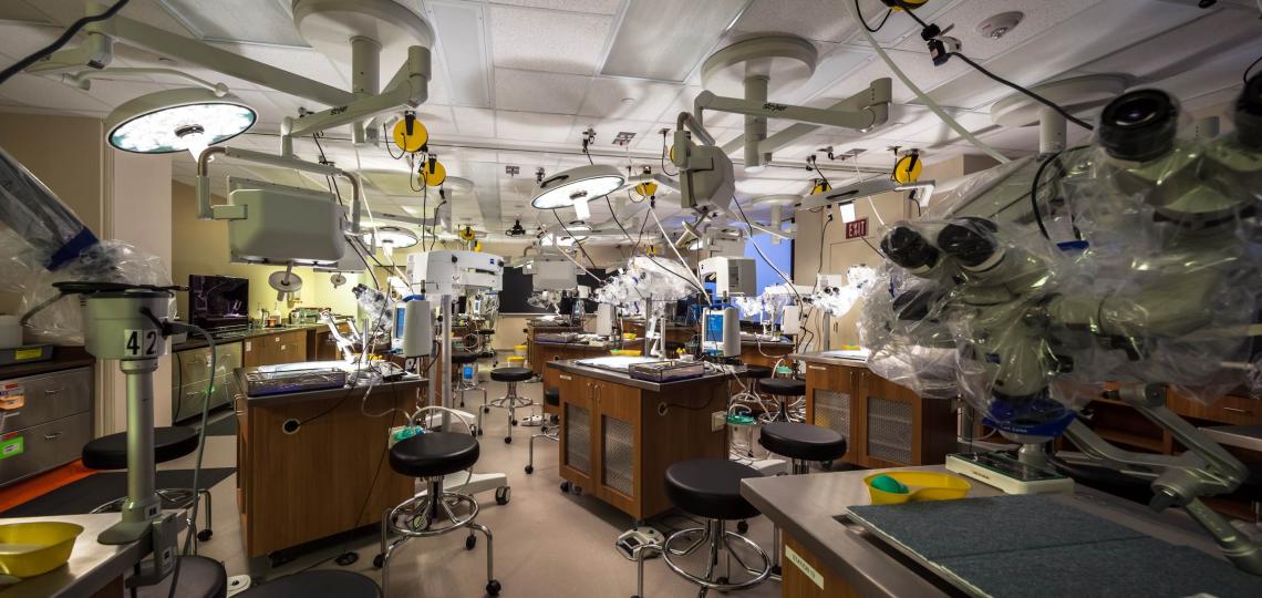 MECCA Anatomy Lab