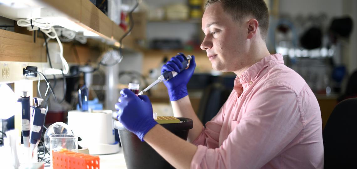 pipette