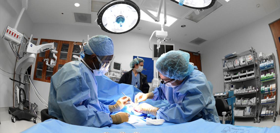 The goop Guide to Cosmetic Surgeons - Goop