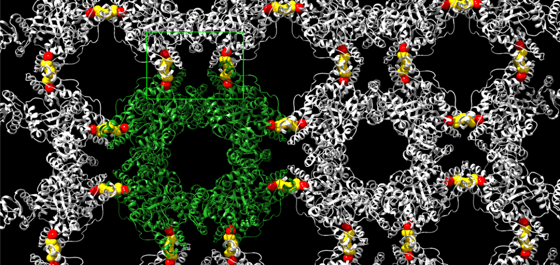 pnas-nsp2-v3-1.png