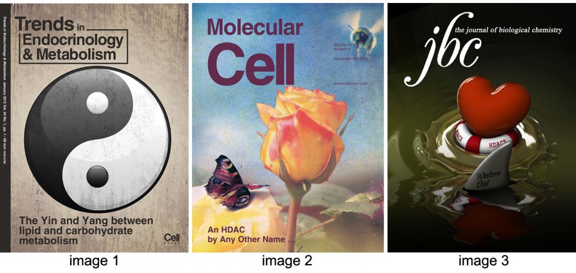 pubcovers-zheng-lab