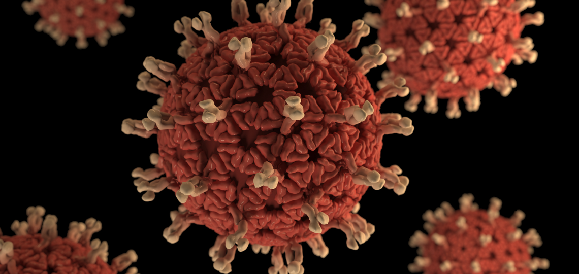 3D graphical representation of rotavirus virions.  Rotaviruses are nonenveloped, double-shelled viruses, making them quite stable in the environment.