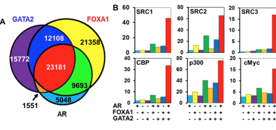 Fig3 Gata2
