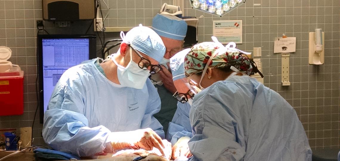 Samual Robert Todd Preforming Surgery