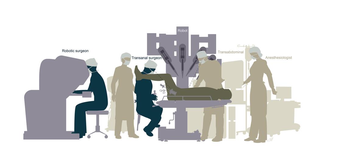 Transanal Total Mesorectal Excision (taTME) operative team