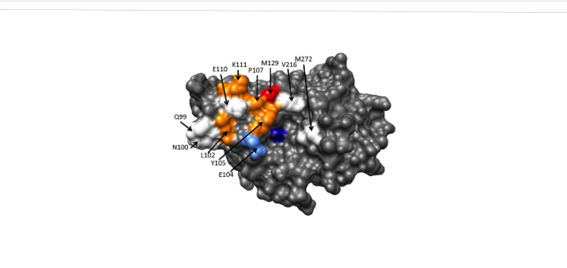 β-lactamase Mediated Antibiotic Resistance