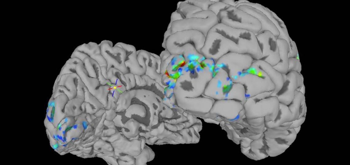 Time Encoding using functional MRI