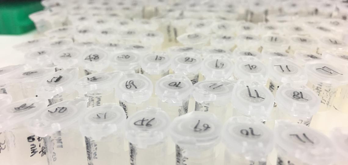 Caption sentence that describes the image or highlight some aspect about the lab research.