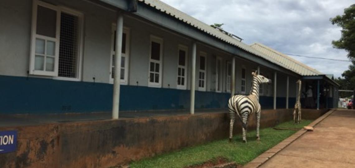Residents are able to rotate through multiple sub-specialties at Mulago National Referral Hospital